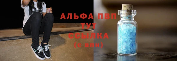 спиды Верея