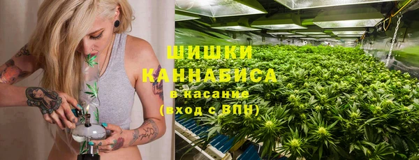 PSILOCYBIN Сясьстрой
