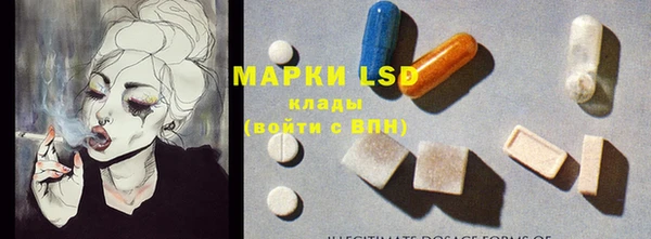 спиды Верея