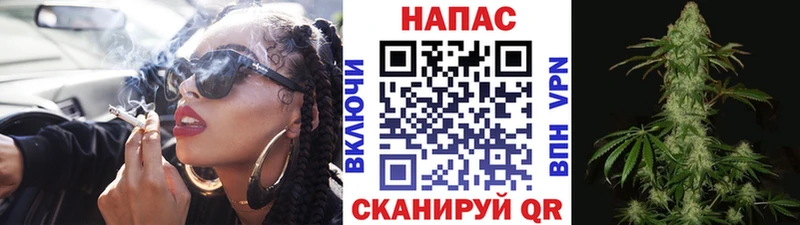 Бошки марихуана план  Берёзовка 